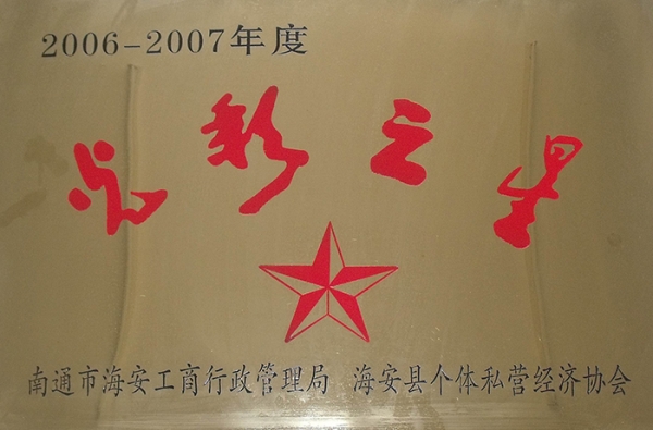 2006-2007年度光彩之星